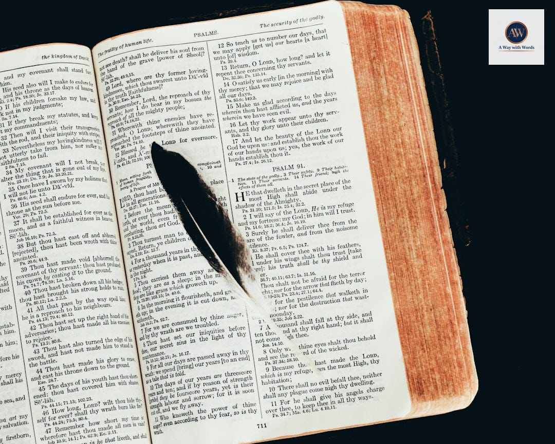 black feather on open book