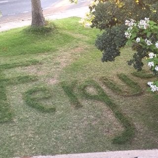 Sarah grass art.JPG