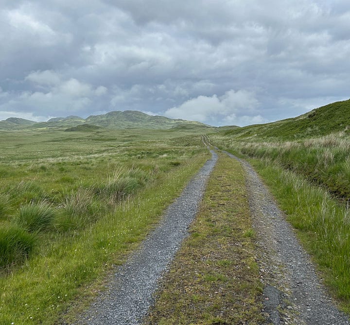 A single lane track and the white painted Barnhill farmhouse