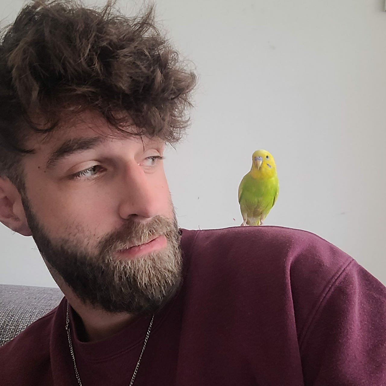 WTF Is Going On With