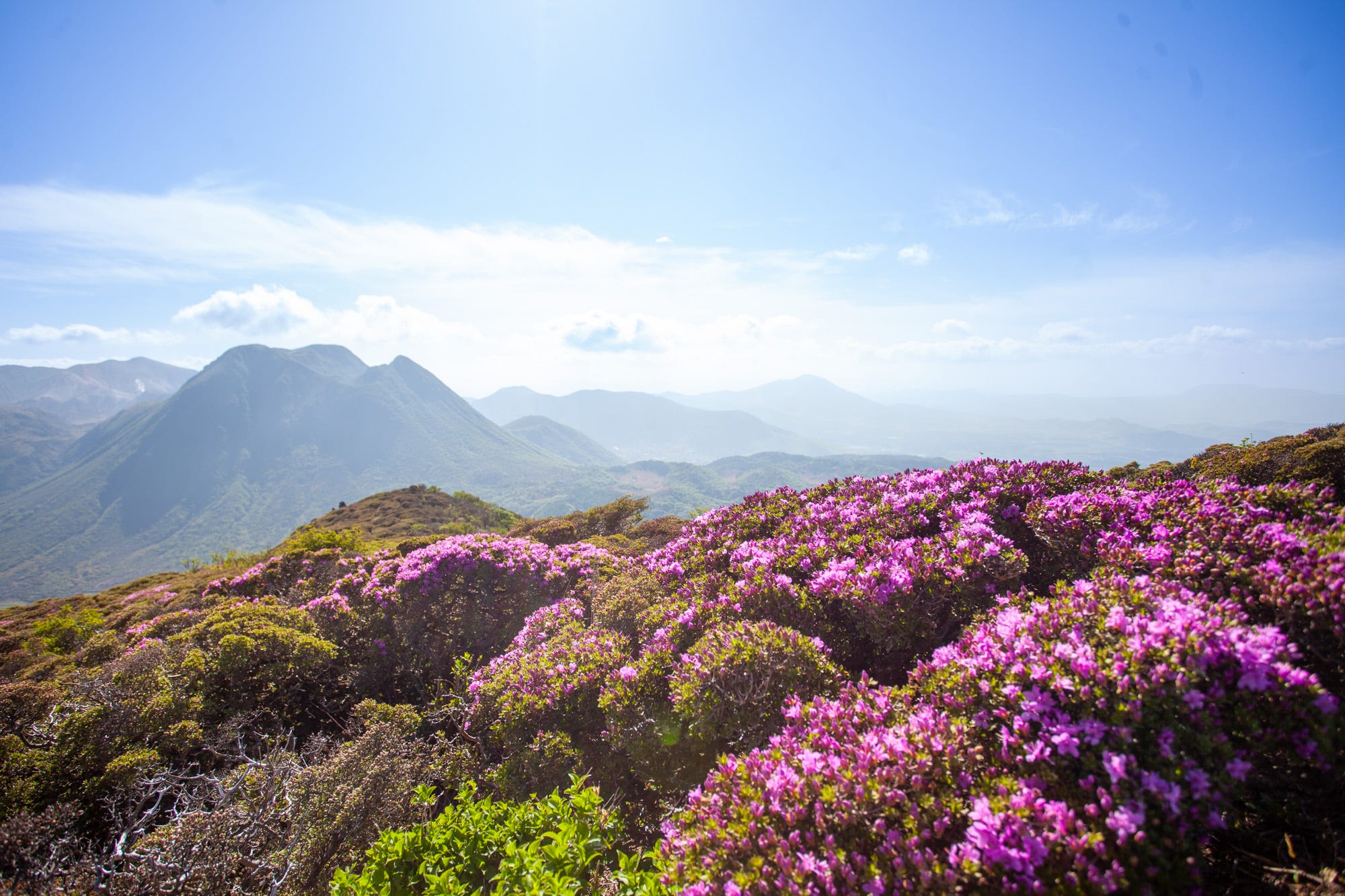 Gone For a Hike - by Burcu Basar - Letters from Japan