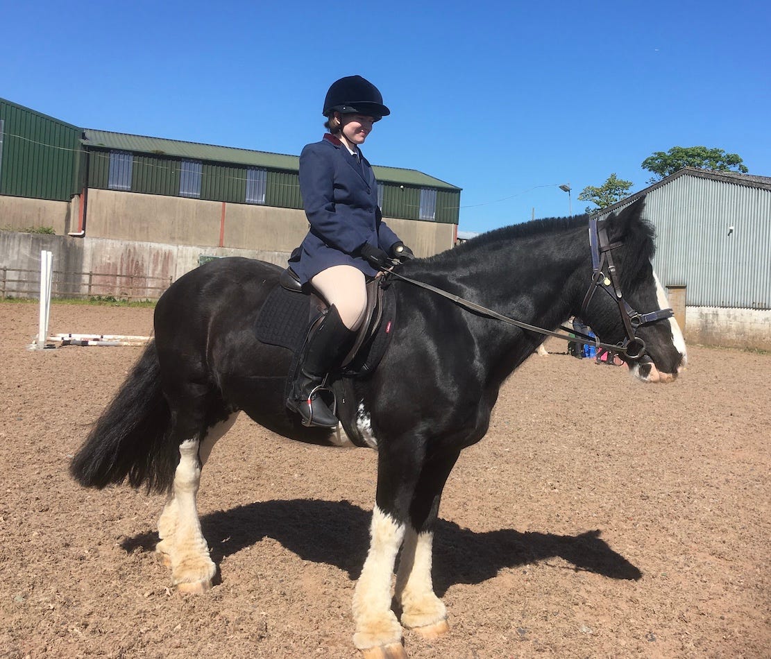 Charlie the horse makes a difference to disabled riders