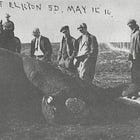 SCOUTING YESTERDAY | Schoolhouse teacher, frightened students blamed for gator escape