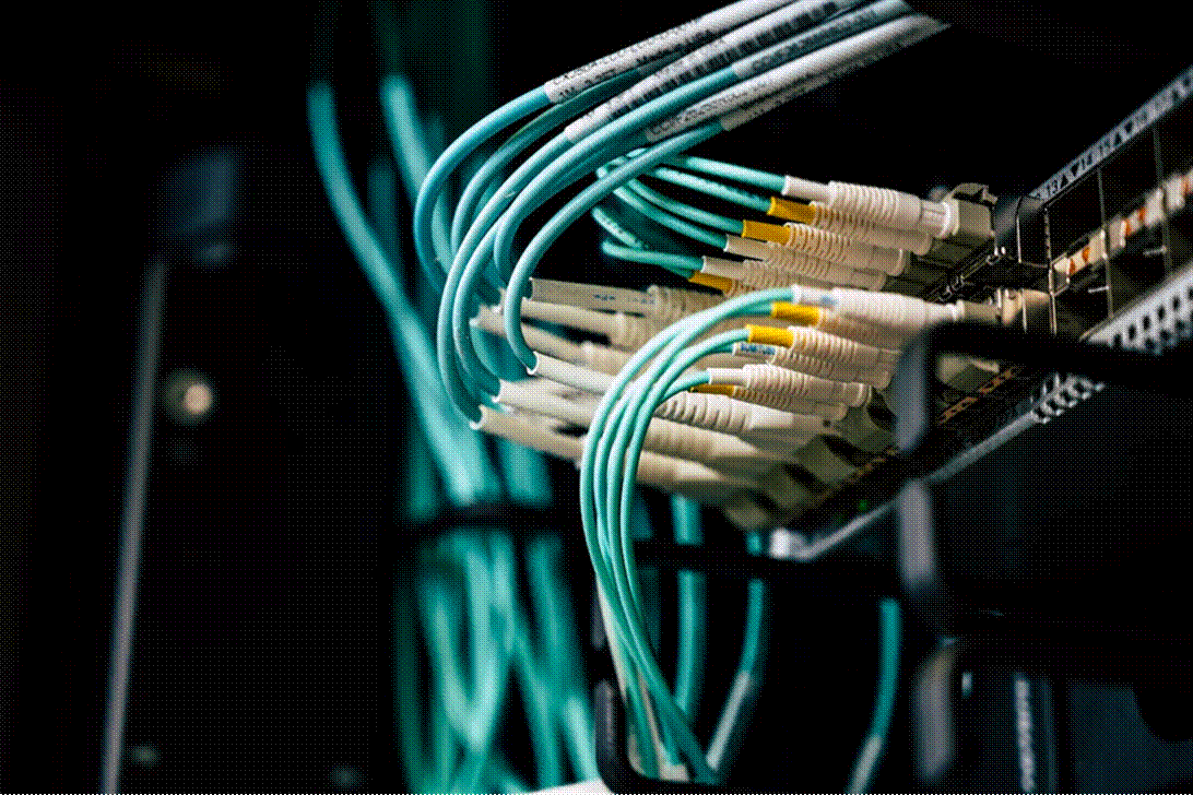 Title: Network cables connected to a server - Description: Close-up of network cables plugged into server infrastructure, representing the cross-agency data connections described in the article.