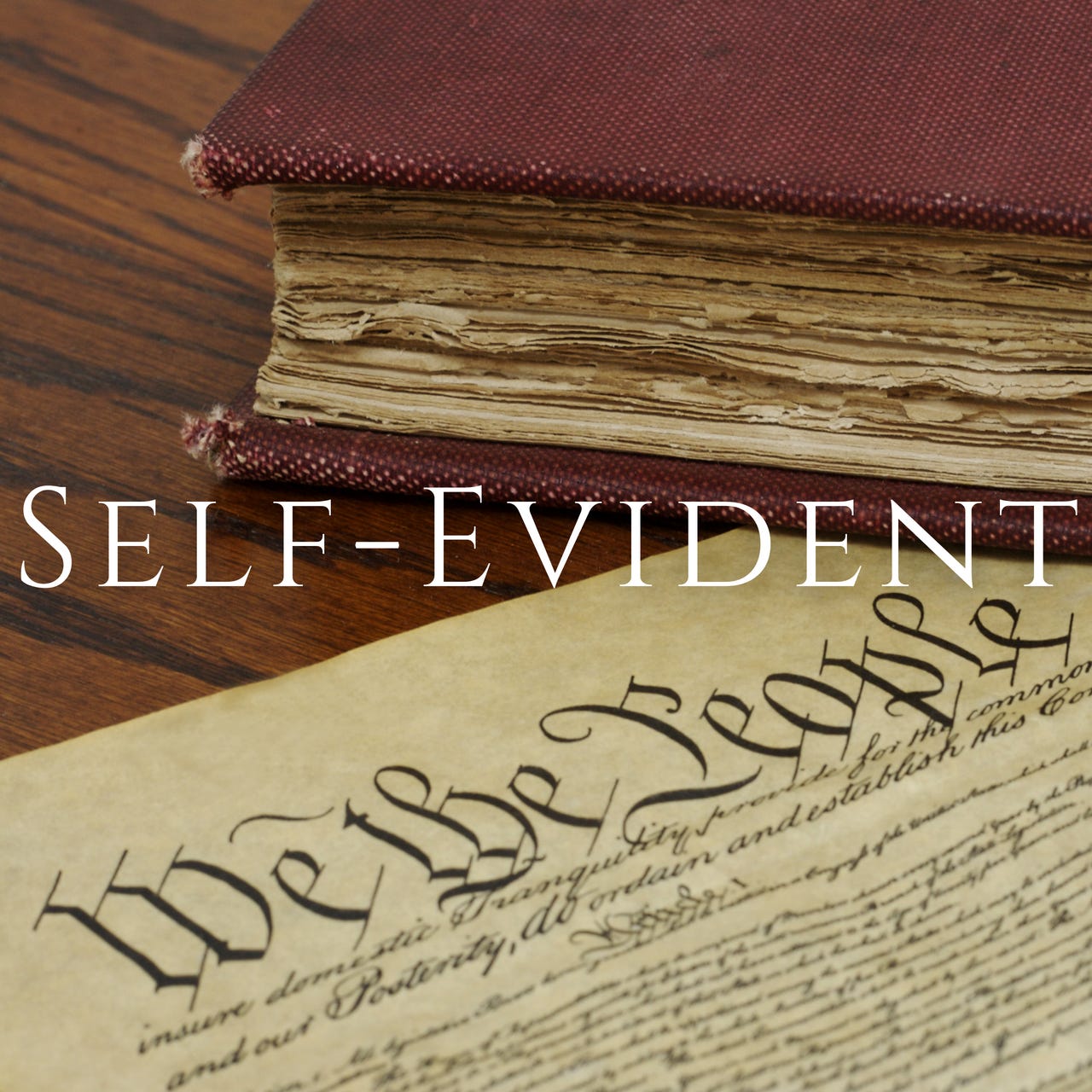 The Self-Evident Newsletter