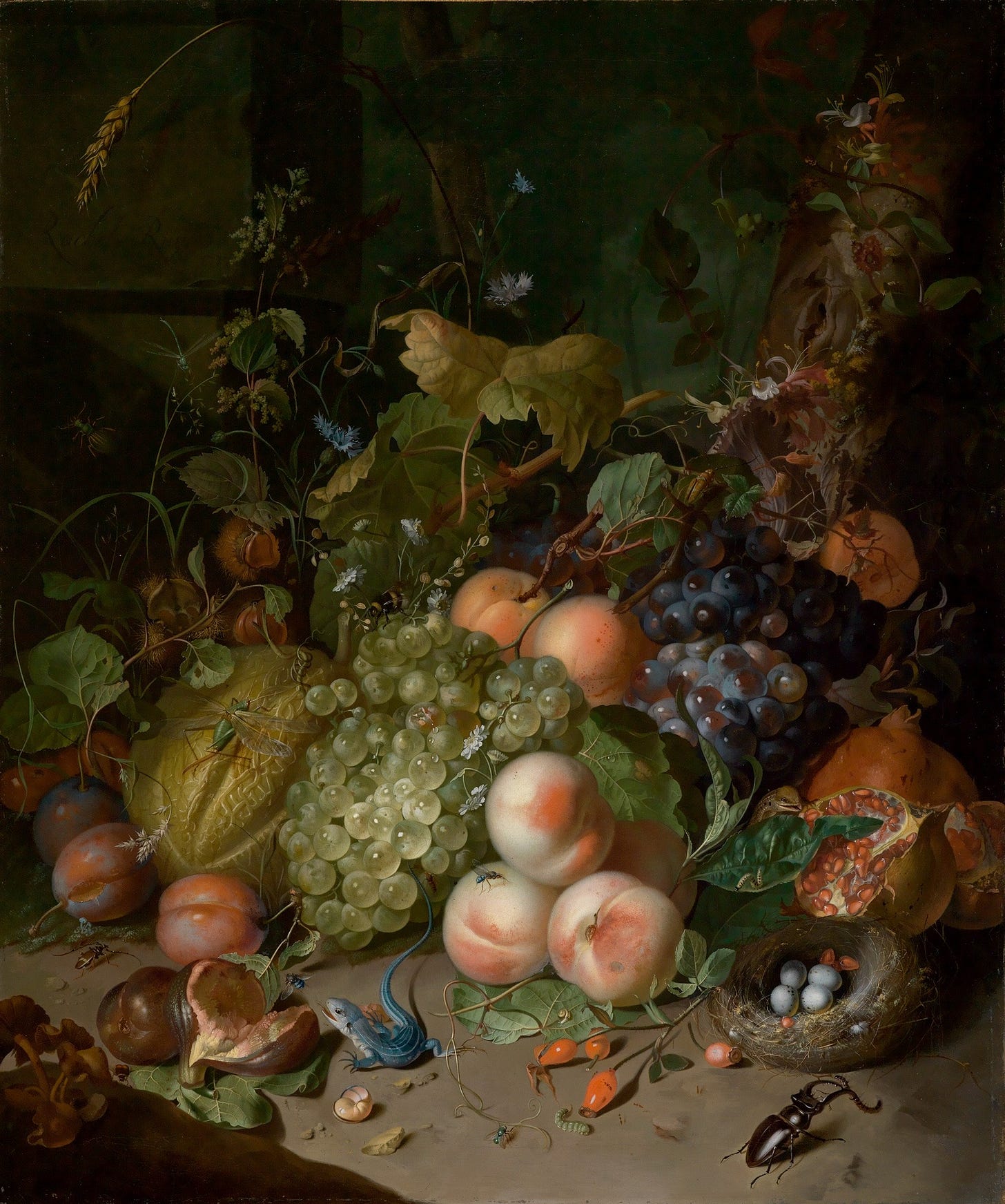Still Life with Stag Beetle and Nest by Rachel Ruysch  (1717)