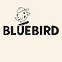 BLUEBIRD's avatar