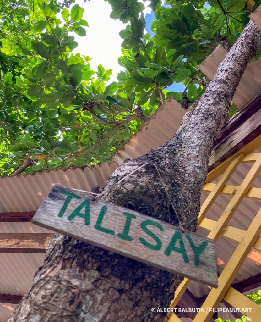 Talisay tree with sign Talisay tree with sign
