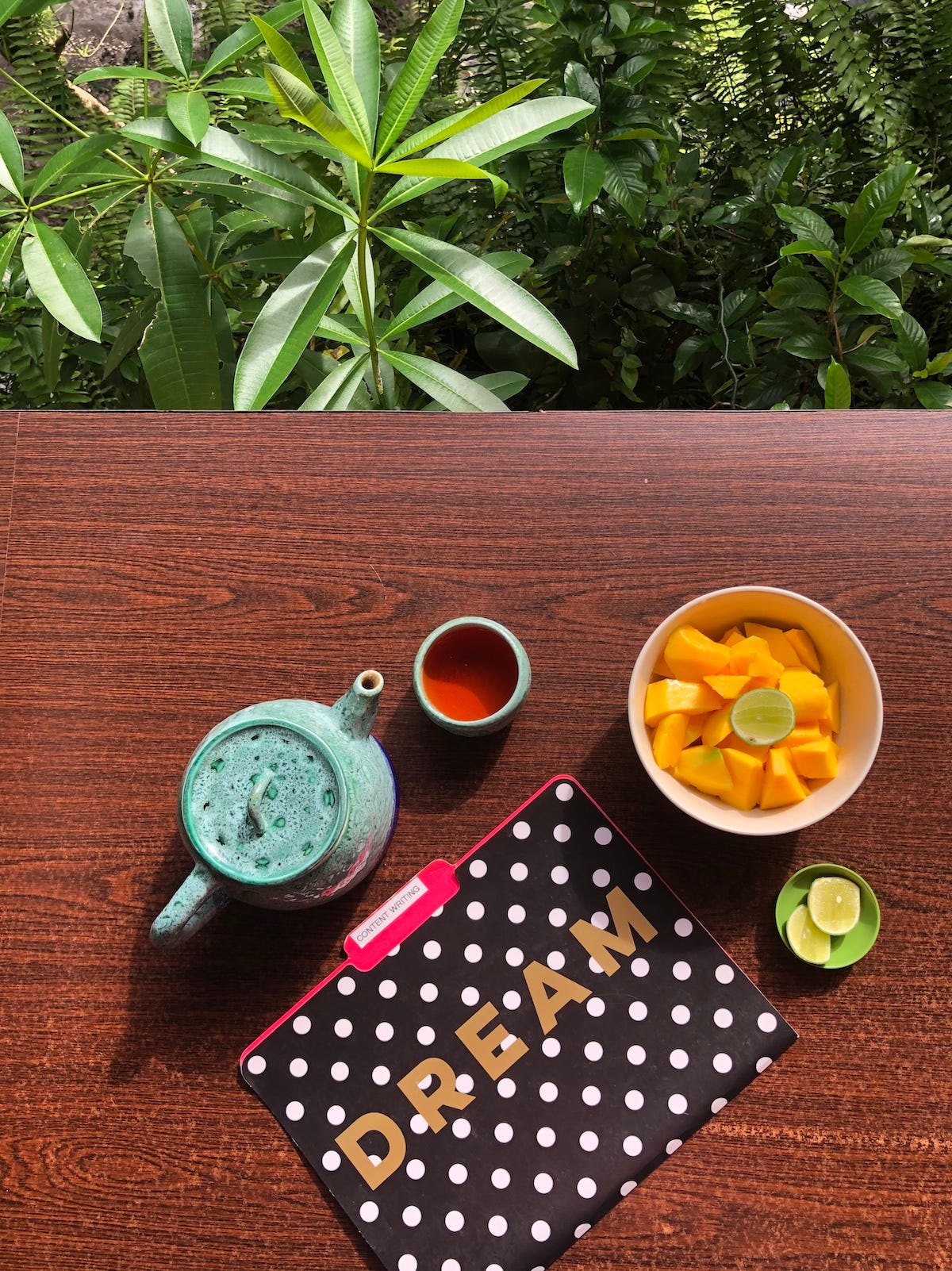 Jen Baxter Skillful Scribbler Newsletter Ideas