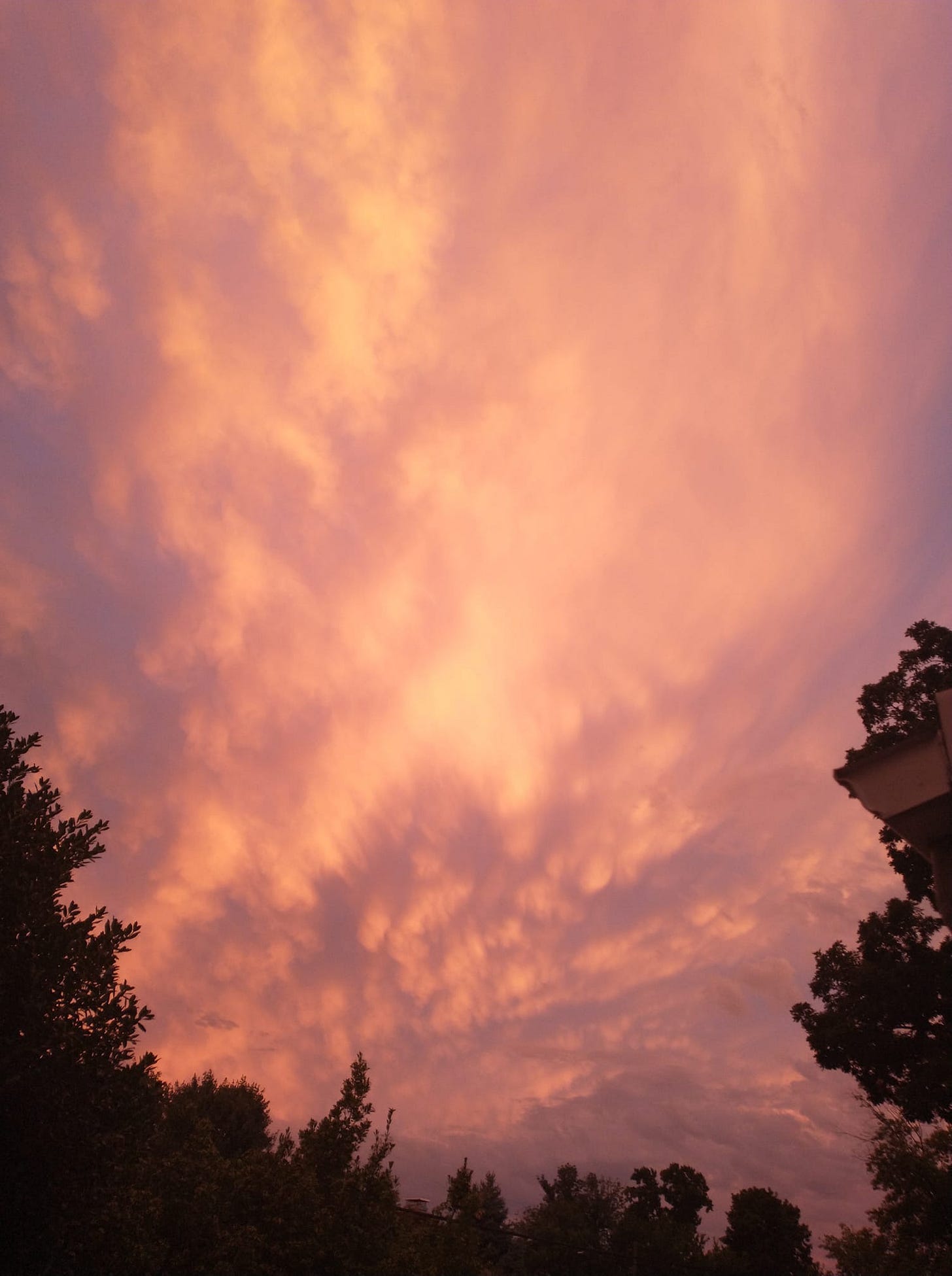May be an image of cloud, tree, twilight and nature