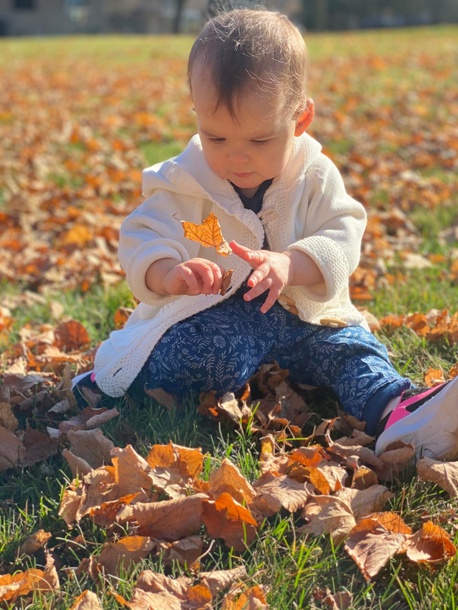 A young girl playing in autumn leaves, sunlight catching her hair. The image captures the warmth and hope of a new generation stepping into a world shaped by today’s choices.