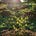 Growing In Grace