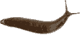 ⍣✫slugstack✫⍣