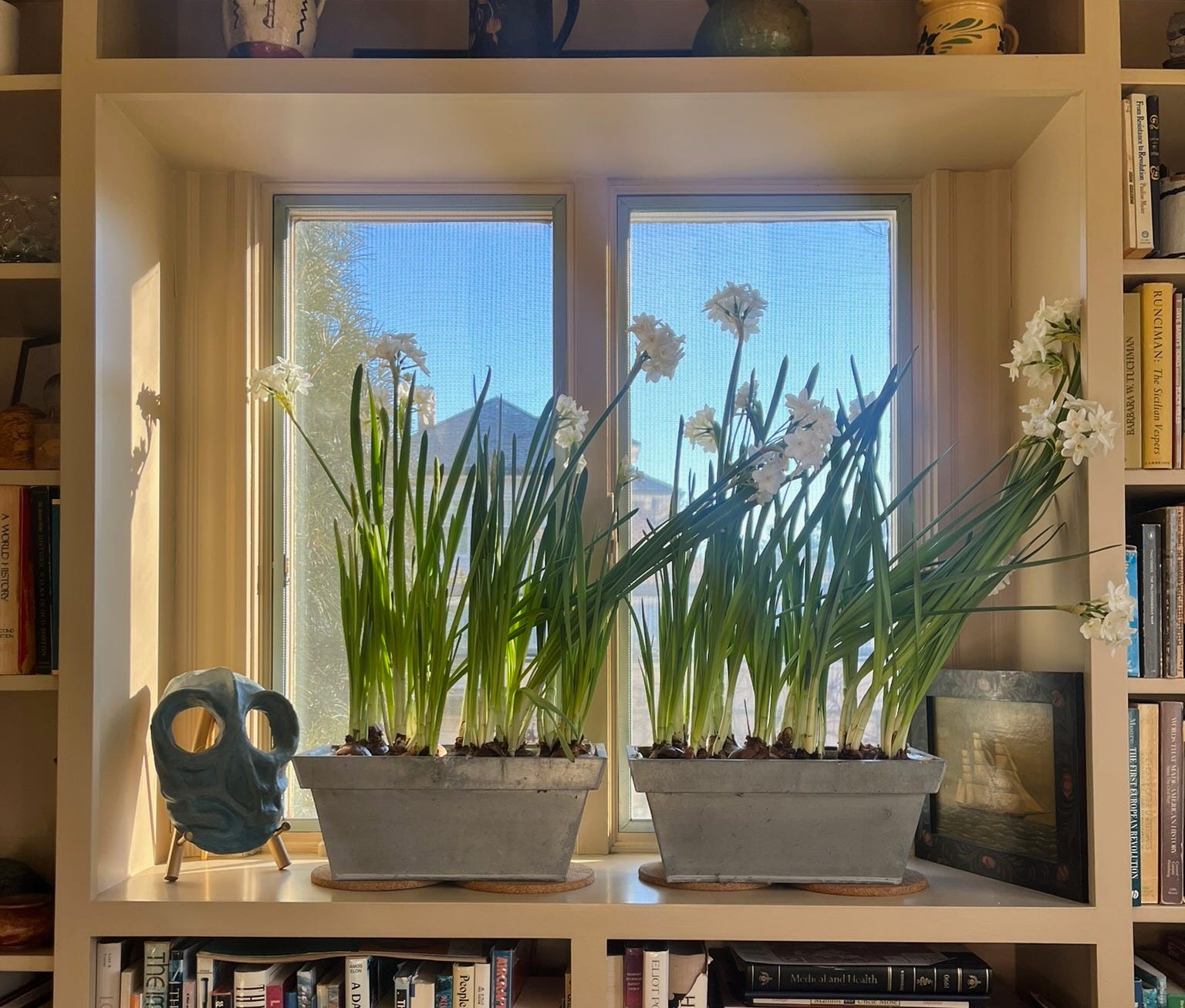 Time for Paperwhites! - by Leanne Kilroy