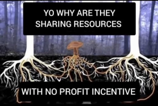 Eleanor Young | Substack