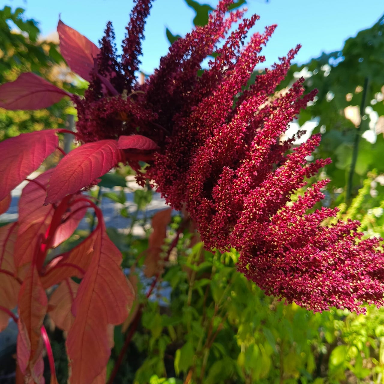 Within Declining Empire