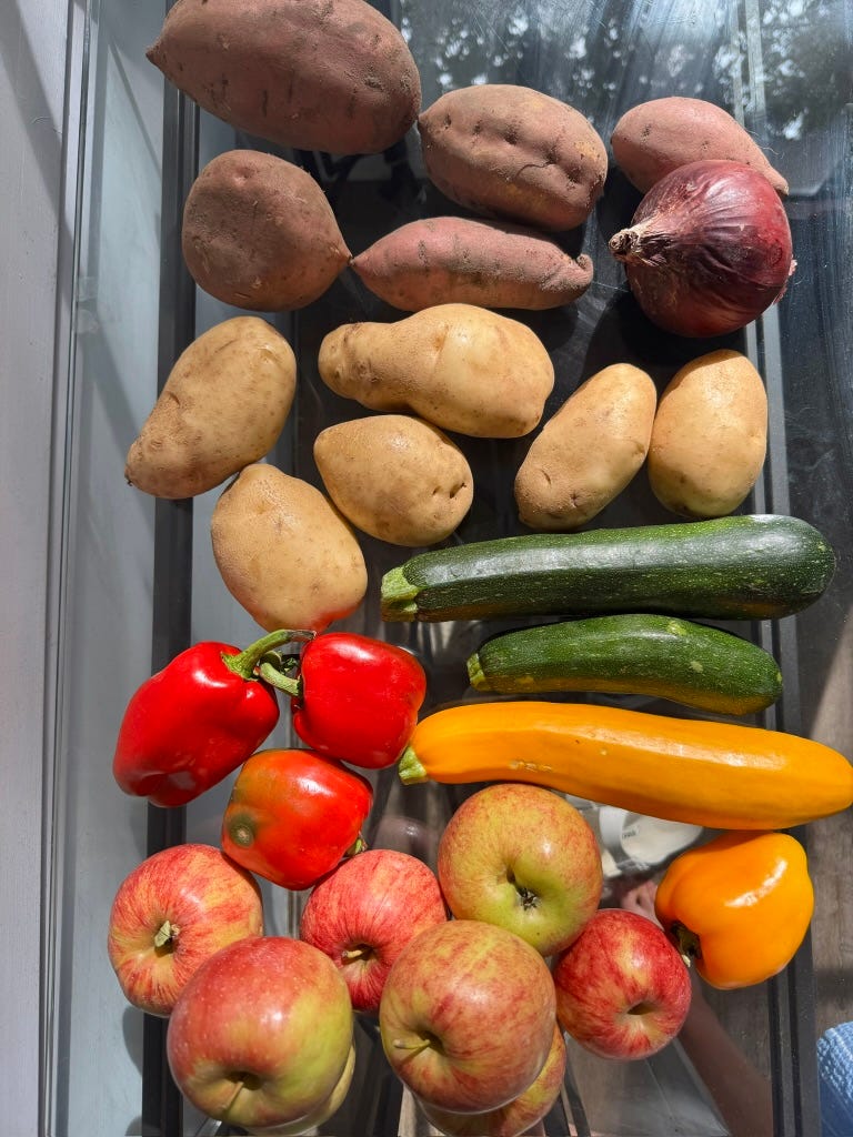 colorful fruits and veggies