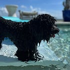 It's summertime! Here are the rules.