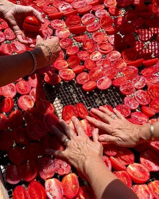 This may contain: several people reaching for tomatoes on a grill