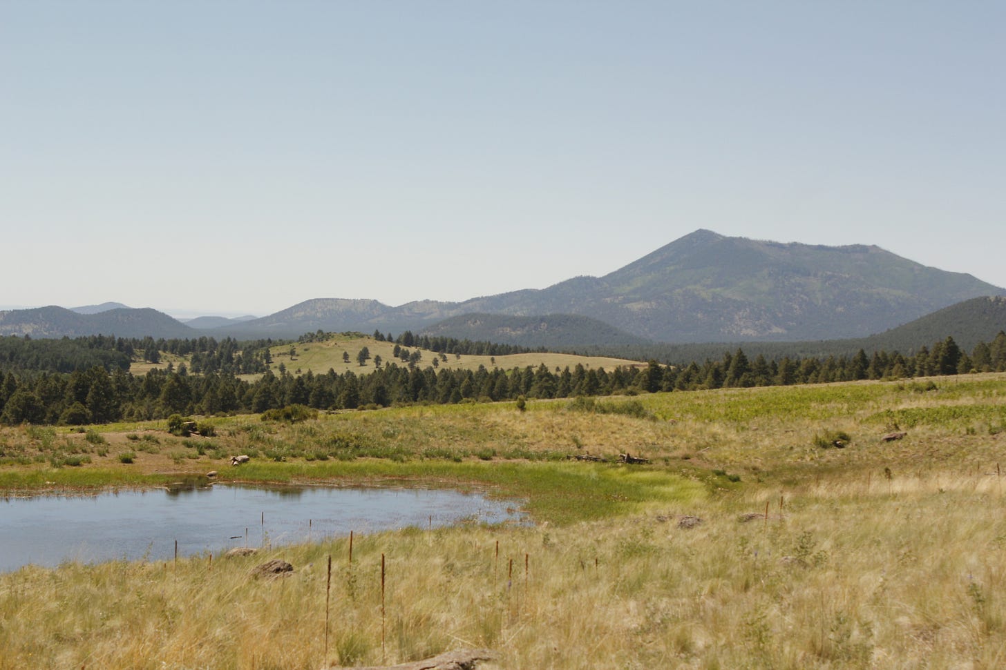 a small pond in the foreground, mountains in the background