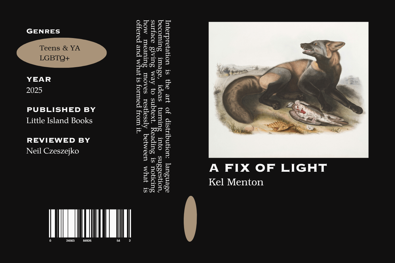 Editorial graphic featuring a stylized book jacket for "A Fix of Light" by Kel Menton. The layout depicts a black-and-tan fox crouched over a dead bird in a grassy landscape. Metadata columns on the left list the genres Teens & YA and LGBTQ+, the publisher Little Island Books, and reviewer Neil Czeszejko. All set against a black composition with a column of text about the art of interpretation and a barcode at the bottom. Part of the Literary Review series at The Subtext Review.