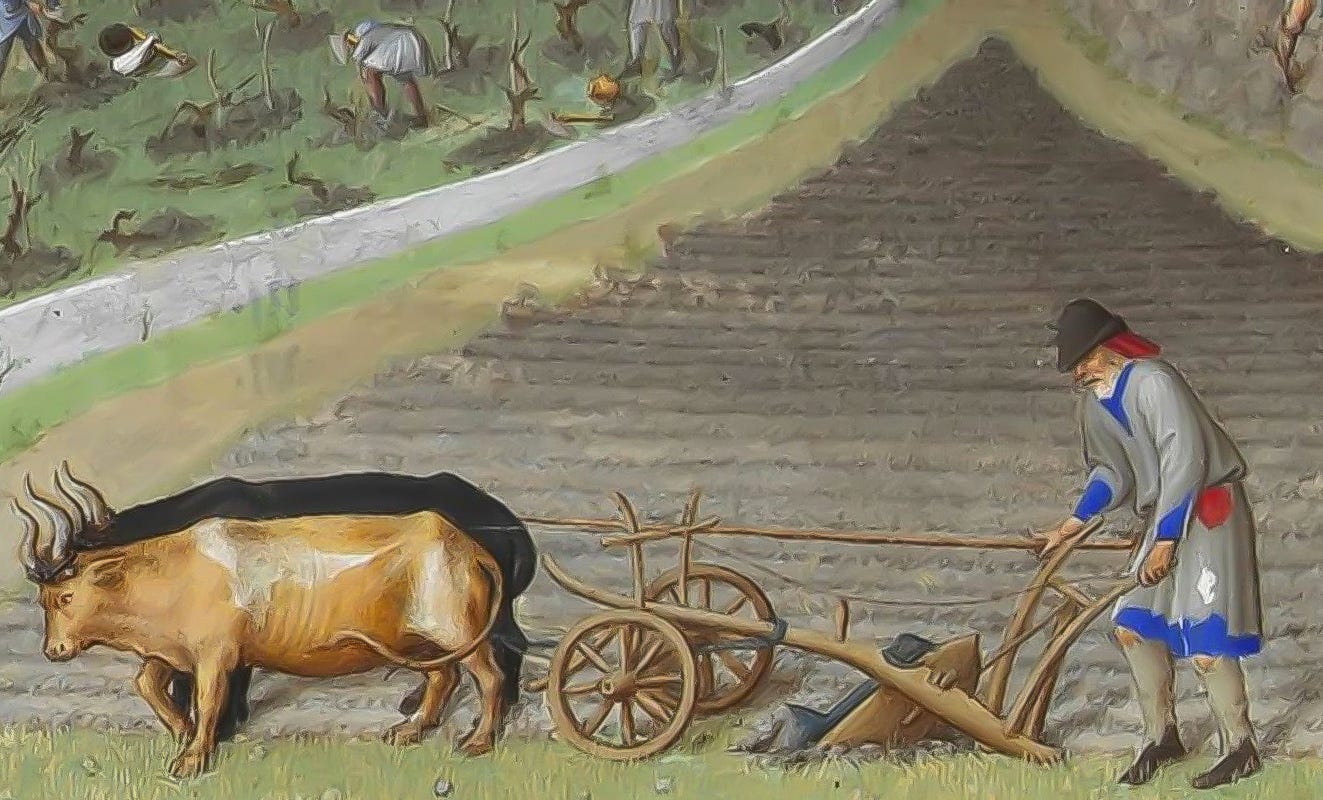 peasant plowing fields