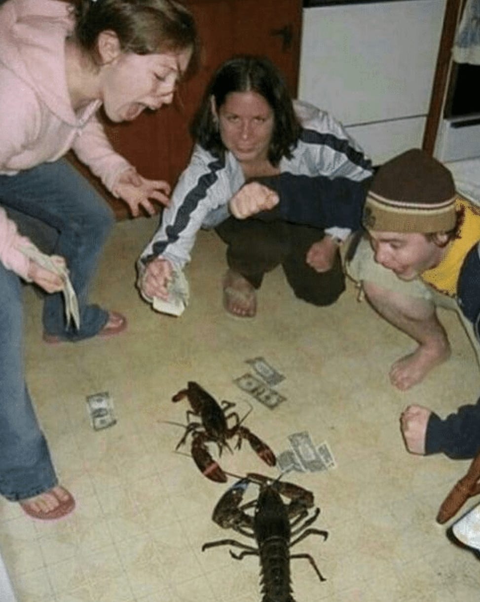 Lobster fight Blank Template - Imgflip