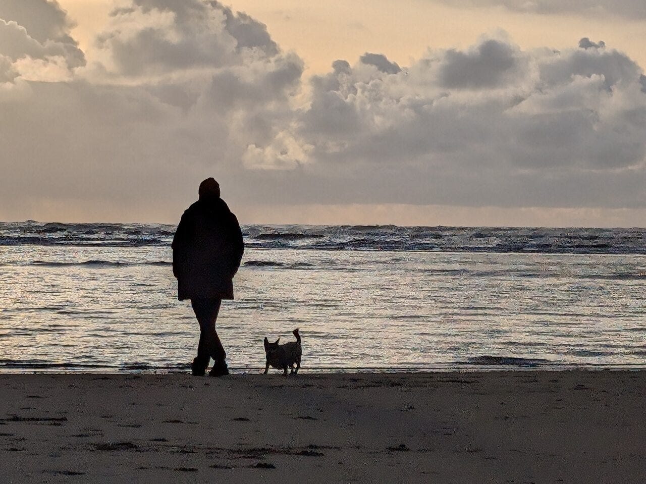 Man and dog walking on the beach at sunset