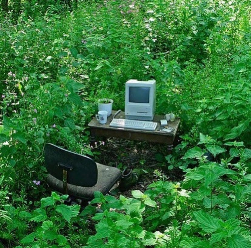 An old computer setup overtaken by dense green vegetation.