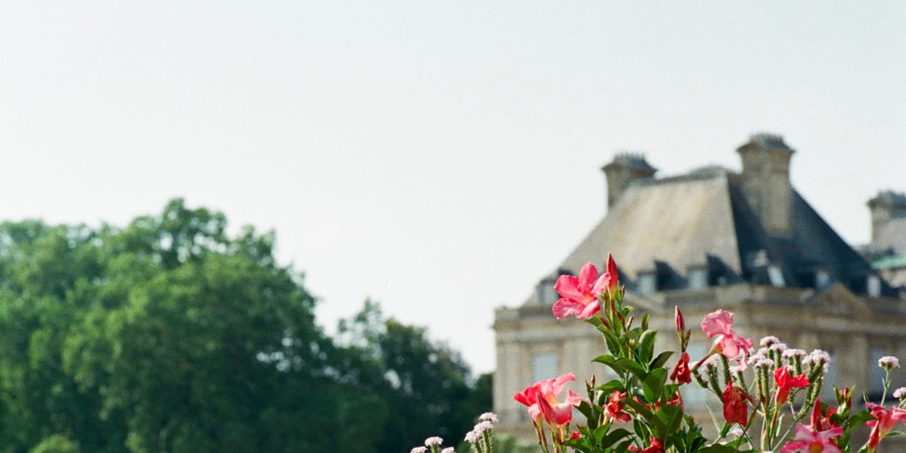 The French Edit: Viral Things Not Worth Queuing For