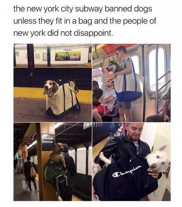 r/meme - Tf r/meme - Tf