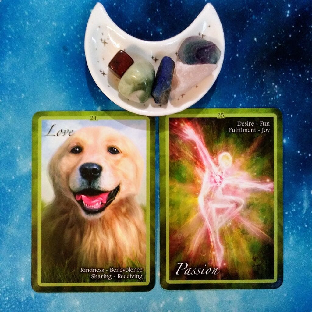 A Message from the Universe, Chakra Insight Oracle Cards A Message from the Universe, Chakra Insight Oracle Cards