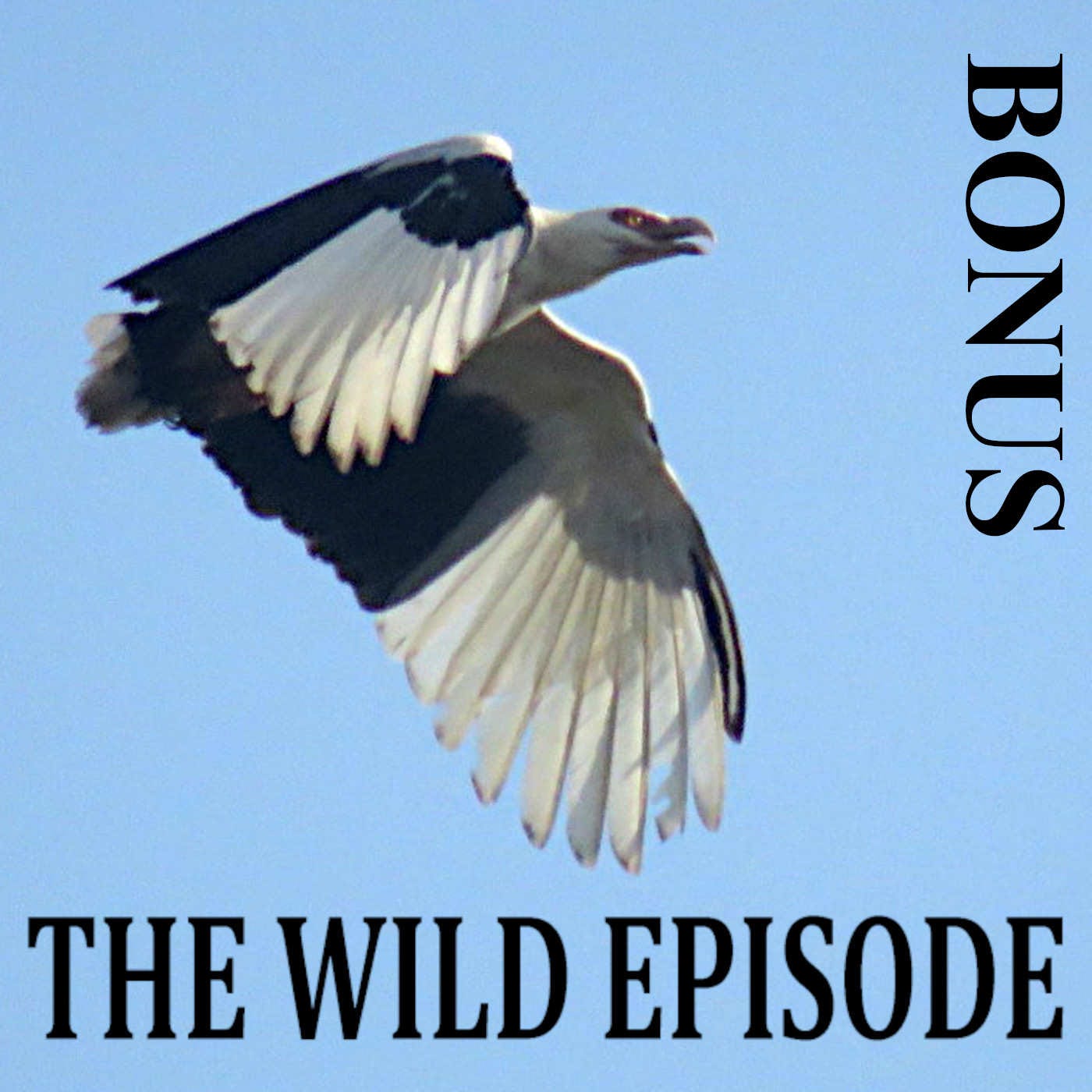 Bonus Episode 3 : Is There Really a Vegetarian Vulture?