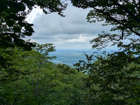 Views before the track disappeared