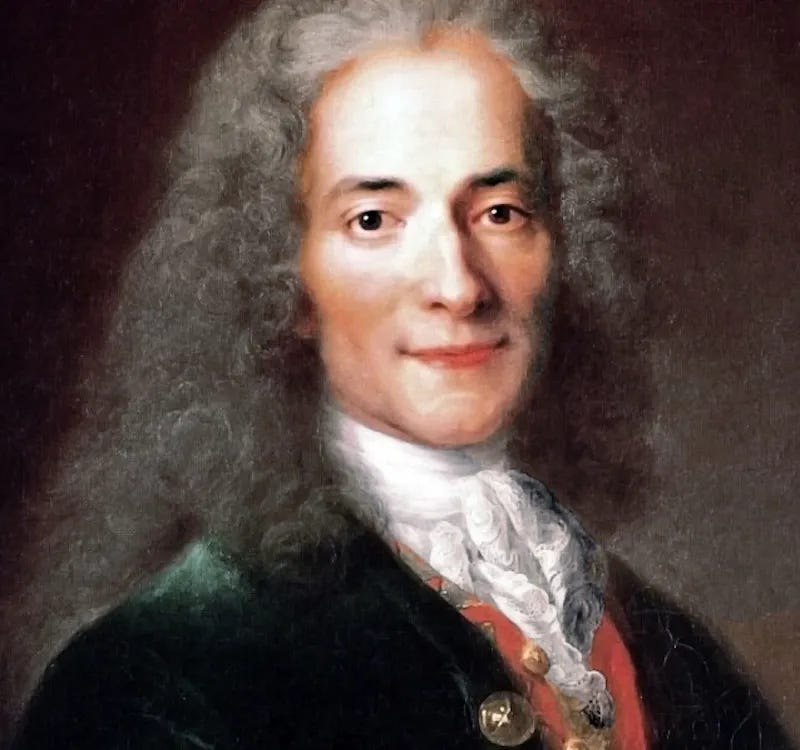Atelier_de_Nicolas_de_Largillière,_portrait_de_Voltaire,_détail_(musée_Carnavalet)_-002.jpg