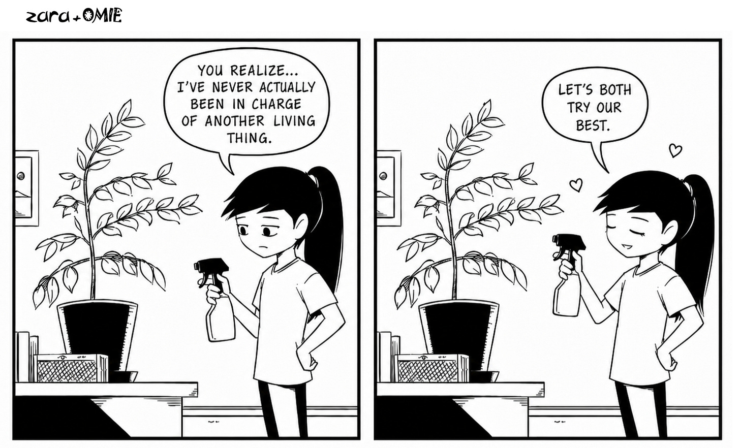 Zara promises to care for a curry leaf plant. Zara promises to care for a curry leaf plant.