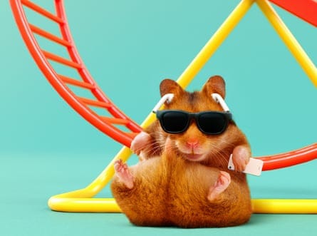 Get off the hamster wheel! How to quiet quit absolutely everything | Work &  careers | The Guardian