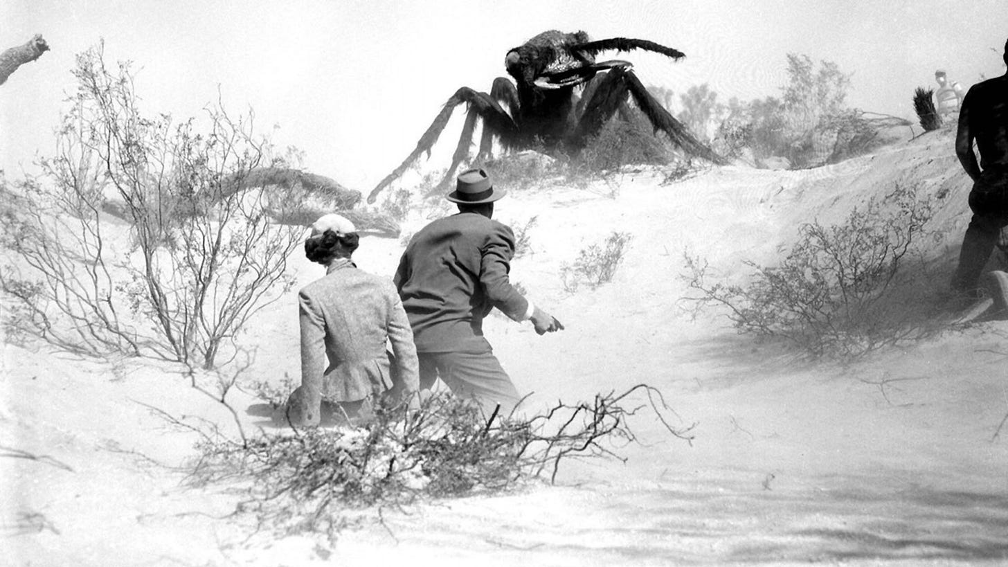 trecho de um filme antigo, em preto e branco. em um dia ensolarado, numa campina seca com alguns arbustos brotando, um homem e uma mulher estão de costas. Ela está de roupa cinza, mangas longas e um chapéu pequeno. Cabelos encaracolados e curtos surgem debaixo do chapéu. Ele está de costas, de chapéu e ternos escuros. Ele tem uma arma na mão esquerda. Ambos estão no chão, olhando para cima, na direção de um morro. Ali, uma formiga gigante, do tamanho de vários homens, olha na direção deles.