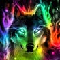 Joshua Lobo's avatar
