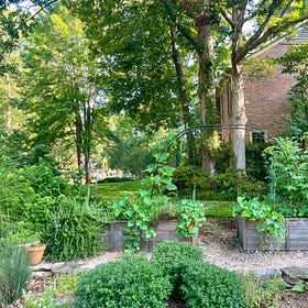 On Summer Salads, Refrigerator Pickles, and What Eating Seasonally Really Means in the South