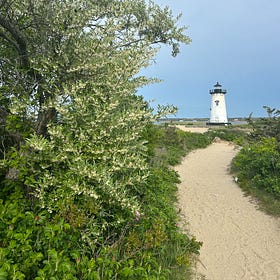 🗂️ The Full MVacay Index 