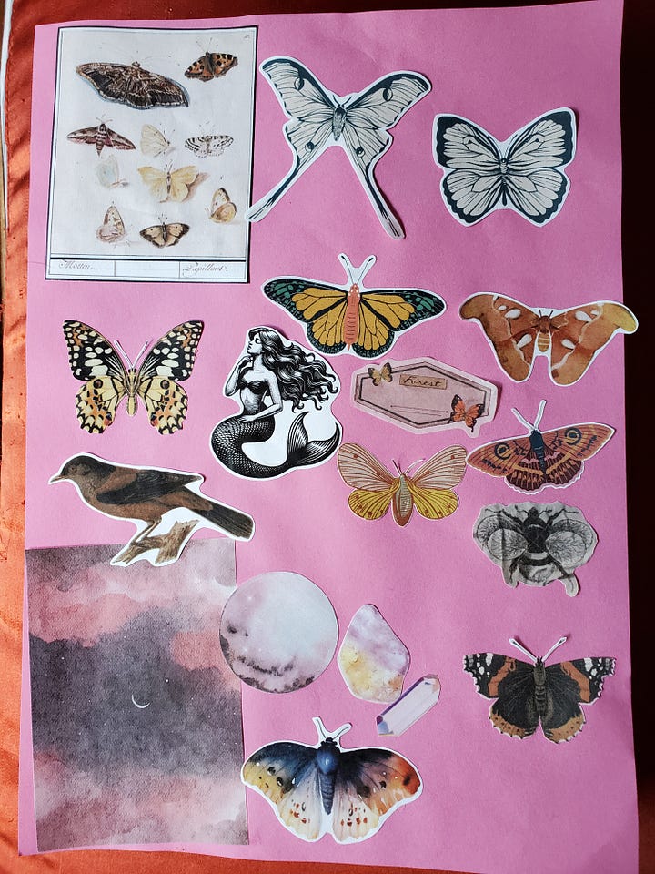 First photo: a collage of moths, butterflies, crystals, a bird, the moon, and a mermaid on a pink background. Second photo: dinosaurs, eggs, and fossils with the letters O-R-E-N against a green background.