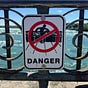 DD Bongo's avatar