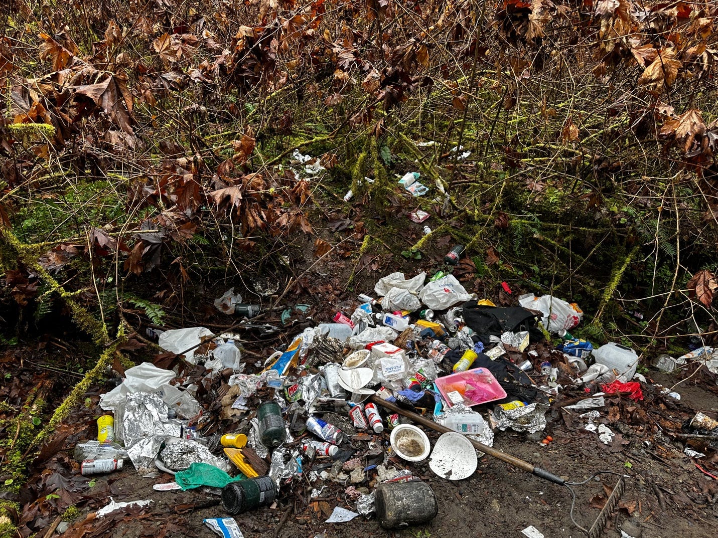 A pile of garbage in the woods

Description automatically generated