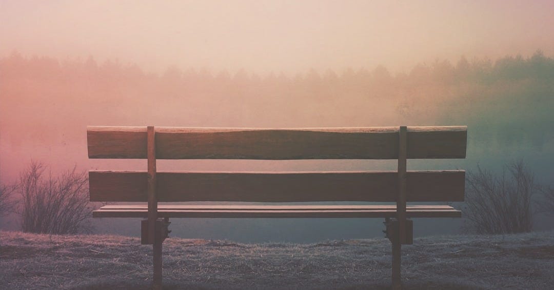 brown wooden bench in field
