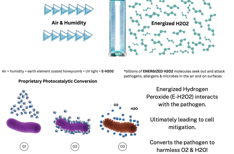 How to End Mass Culling: A New Approach to H5N1 Bird Flu Biosecurity