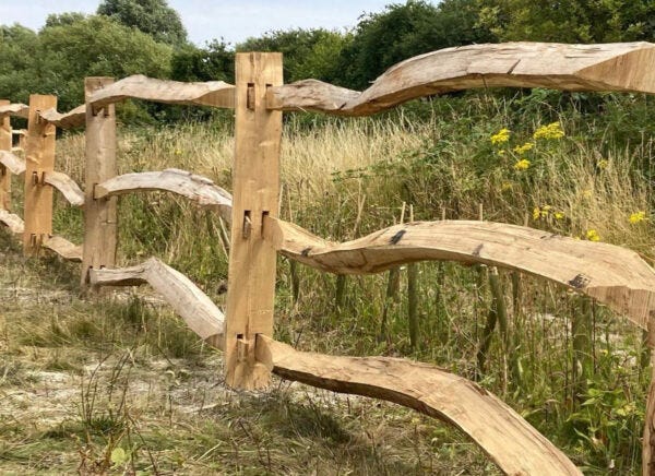 olly moses fence