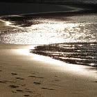 Understanding the Retrograde Cycle | Part 3: Retrogrades as Developmental and Cosmic Hesitations