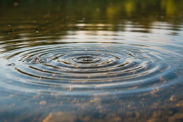 Things Might Ripple The #1 Thing You Can Do to Change the World (It’s Not What You Think!)