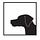 The Canine Review